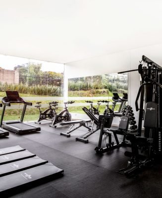 macadamia-de-reio-gimnasio