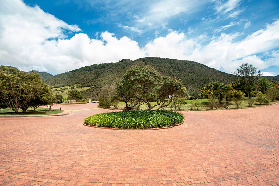 Vive el equilibrio perfecto: naturaleza y comunidad se encuentran en Macadamia del Río 🌲🌿☀️
